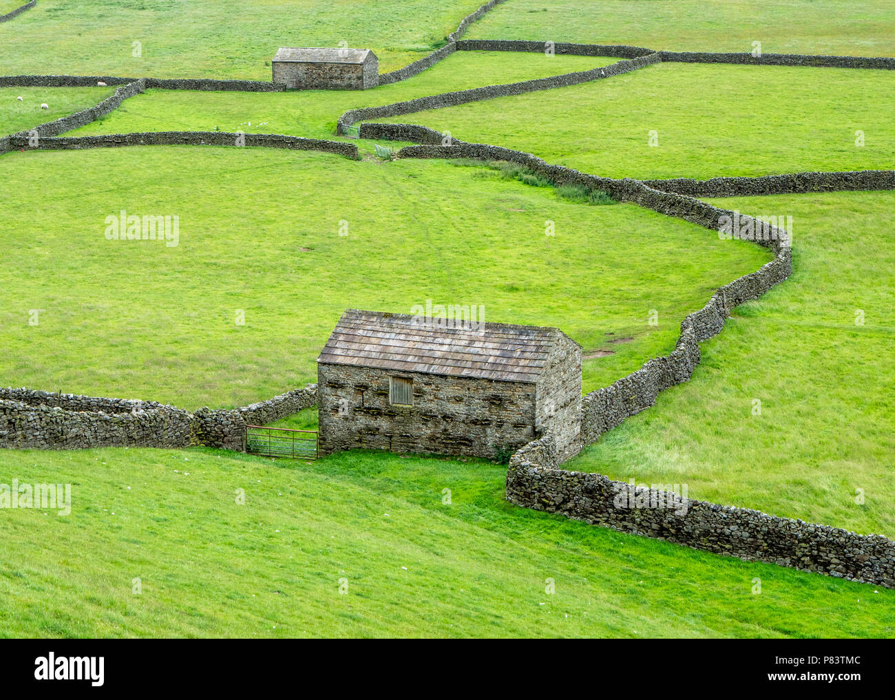 Domaine des granges construite pour abriter le bétail l'hiver à fond dans la région de Swaledale Gunnerside dans le Yorkshire au Royaume-Uni Dlaes Banque D'Images