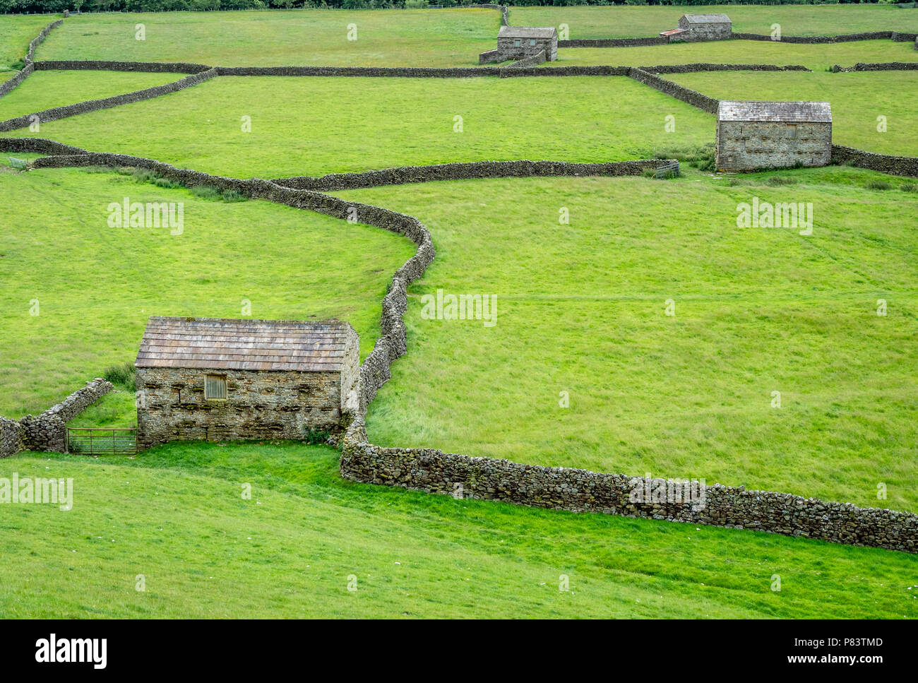 Domaine des granges construite pour abriter le bétail l'hiver à fond dans la région de Swaledale Gunnerside dans le Yorkshire au Royaume-Uni Dlaes Banque D'Images