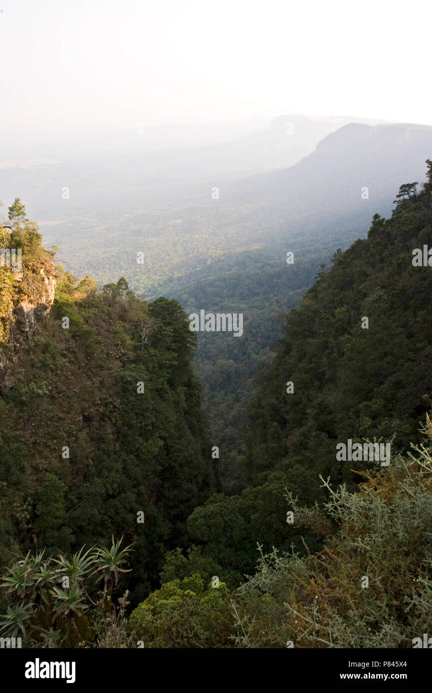 Dieux Fenêtre, Kleine Drakensbergen, Afrique du Sud Banque D'Images