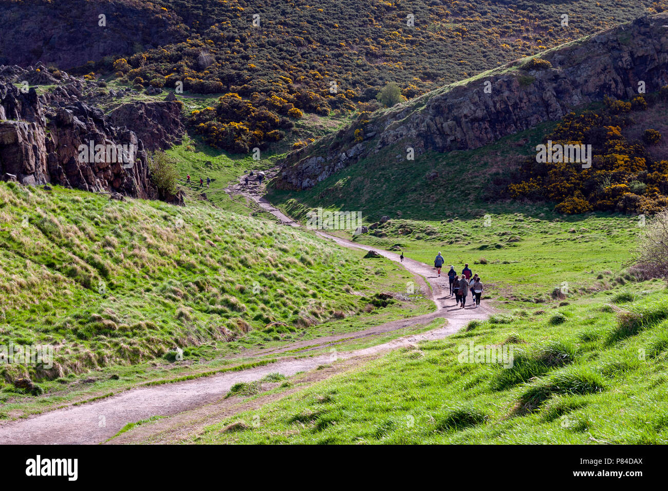 Une randonnée à vélo à travers des pentes herbeuses jusqu'à Arthur's Seat, le point le plus élevé à Édimbourg situé à Holyrood Park, Ecosse, Royaume-Uni Banque D'Images
