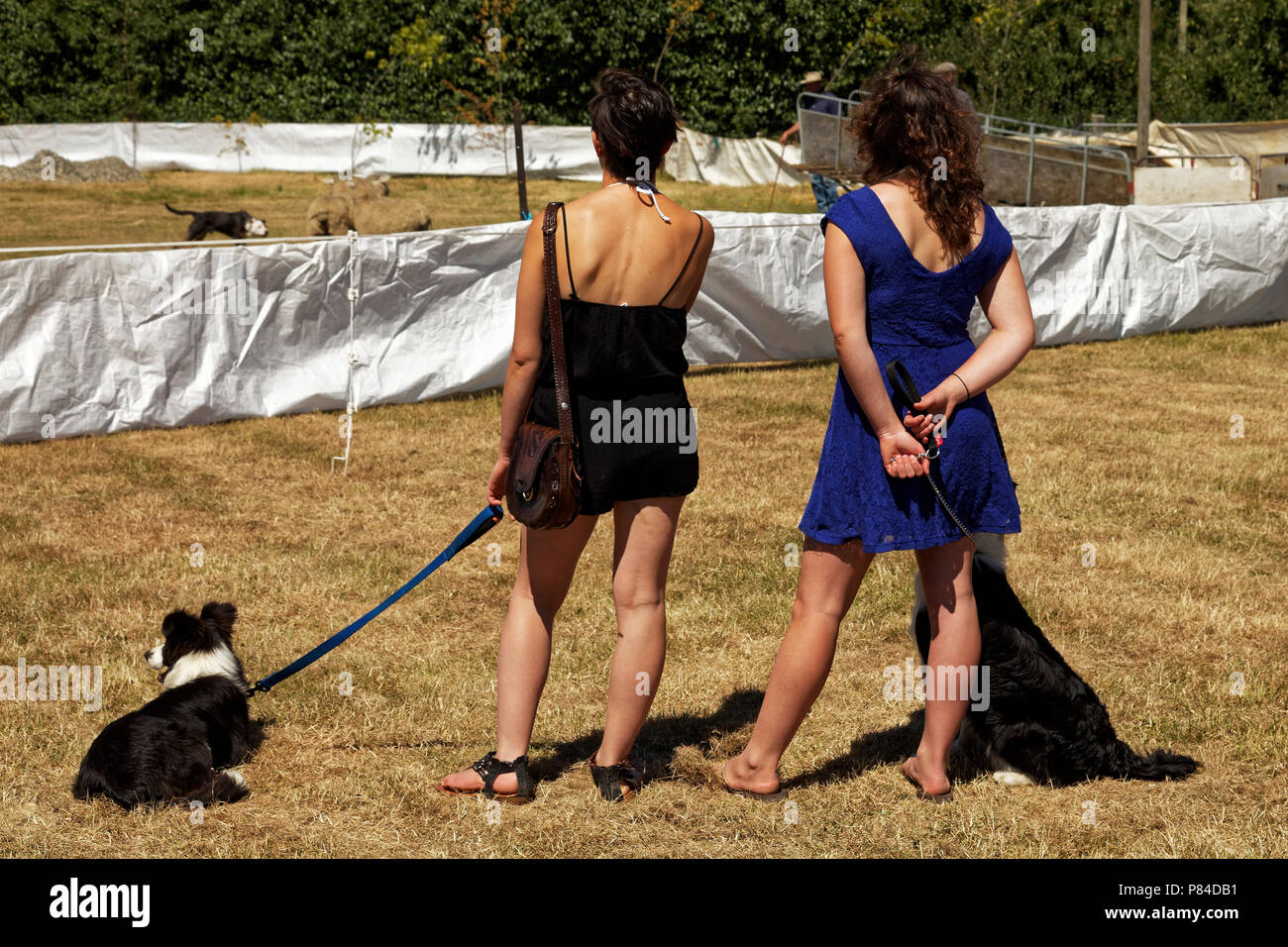 Deux bergères à regarder les chiens de berger au local agricole et pastorale show Banque D'Images