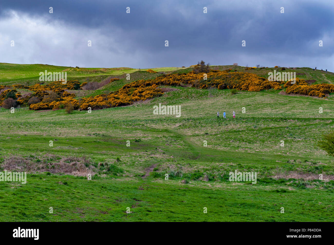 Une randonnée à vélo à travers des pentes herbeuses jusqu'à Arthur's Seat, le point le plus élevé à Édimbourg situé à Holyrood Park, Ecosse, Royaume-Uni Banque D'Images