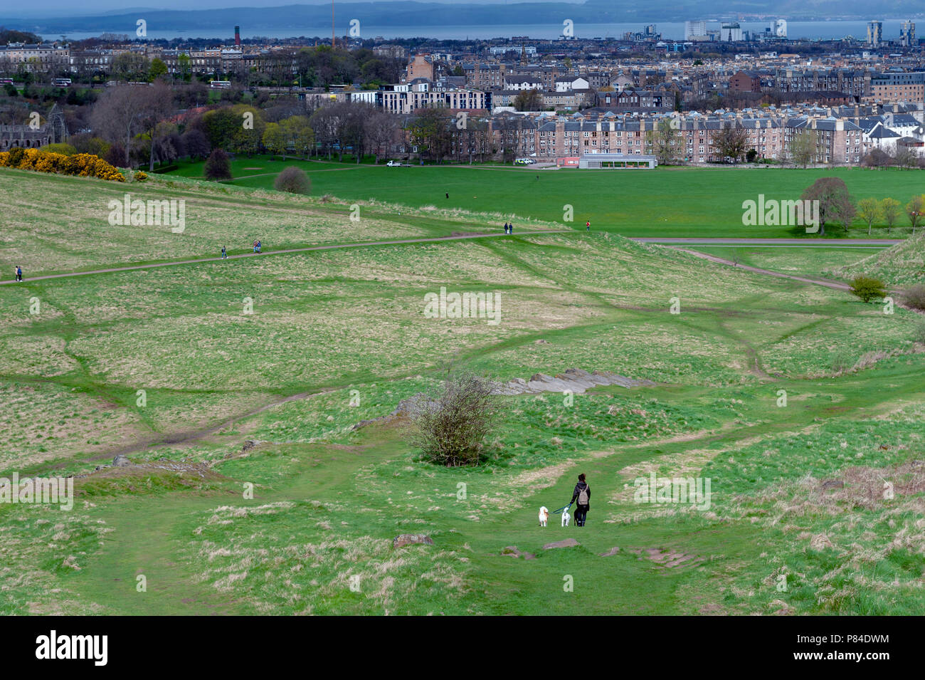 Une randonnée à vélo à travers des pentes herbeuses jusqu'à Arthur's Seat, le point le plus élevé à Édimbourg situé à Holyrood Park, Ecosse, Royaume-Uni Banque D'Images