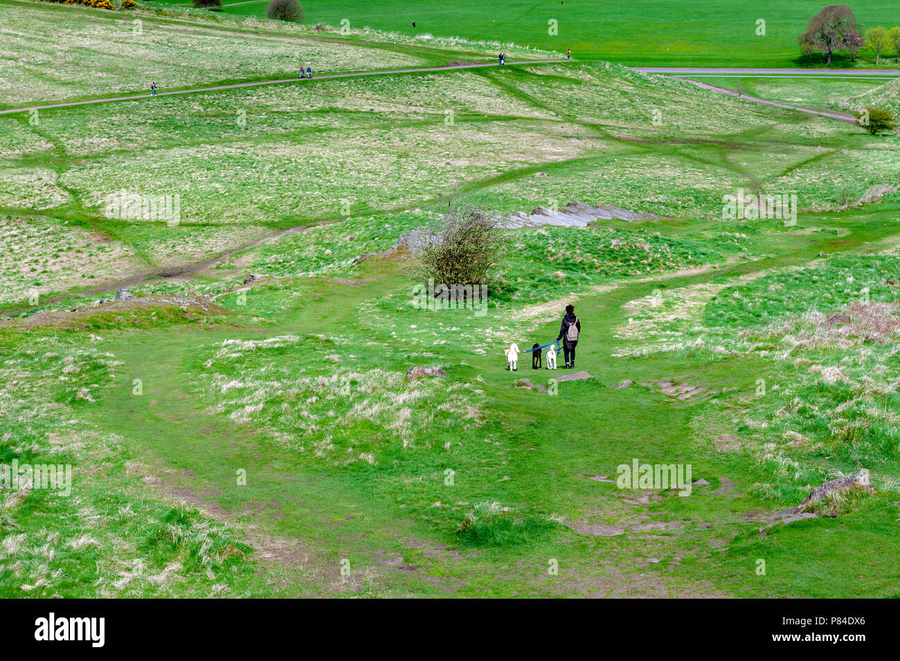 Une randonnée à vélo à travers des pentes herbeuses jusqu'à Arthur's Seat, le point le plus élevé à Édimbourg situé à Holyrood Park, Ecosse, Royaume-Uni Banque D'Images