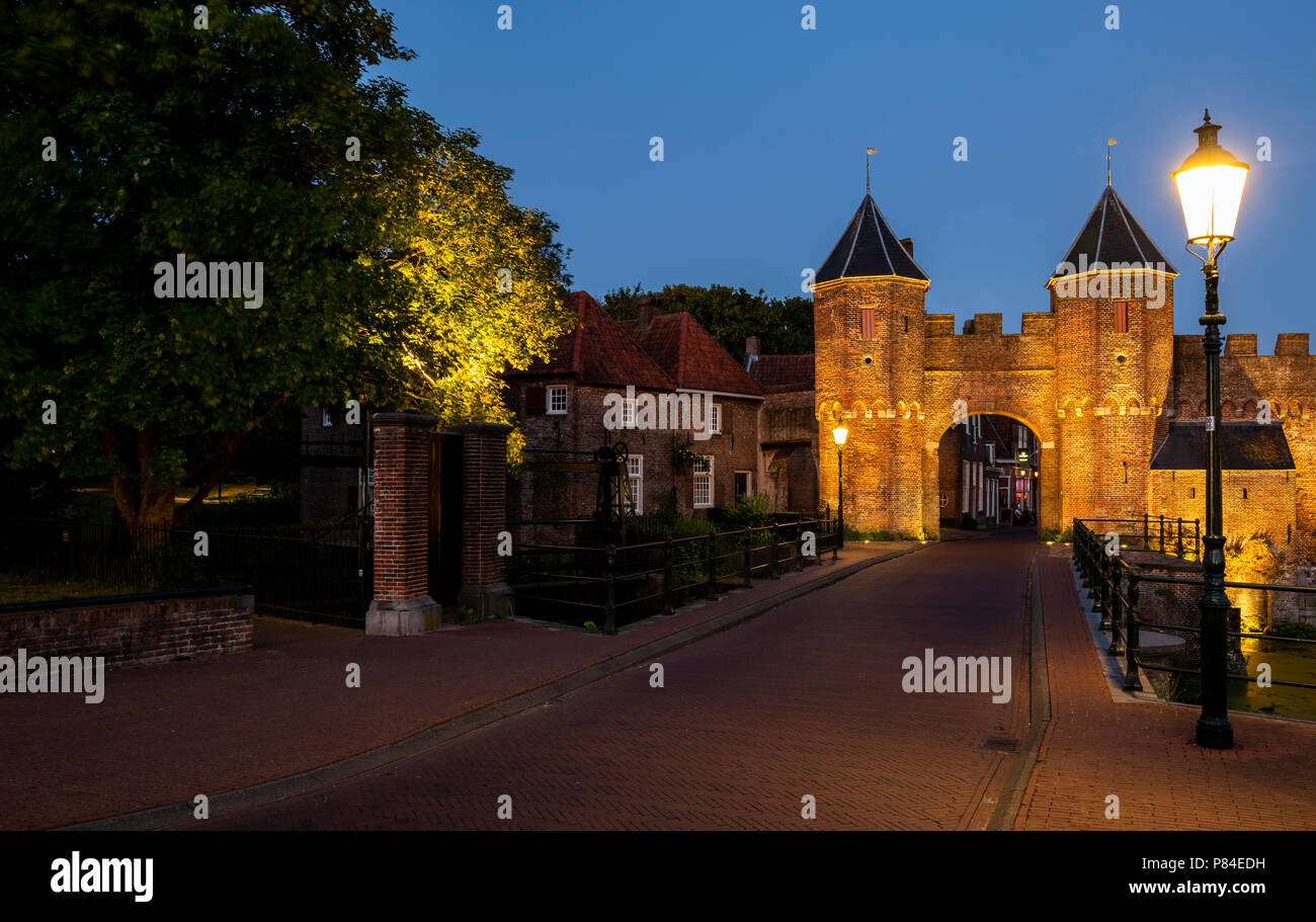 Vélizy, France - 28 juin 2018 : Koppelpoort dans la soirée avec deux llighted lampadaires et une rue sombre. Banque D'Images