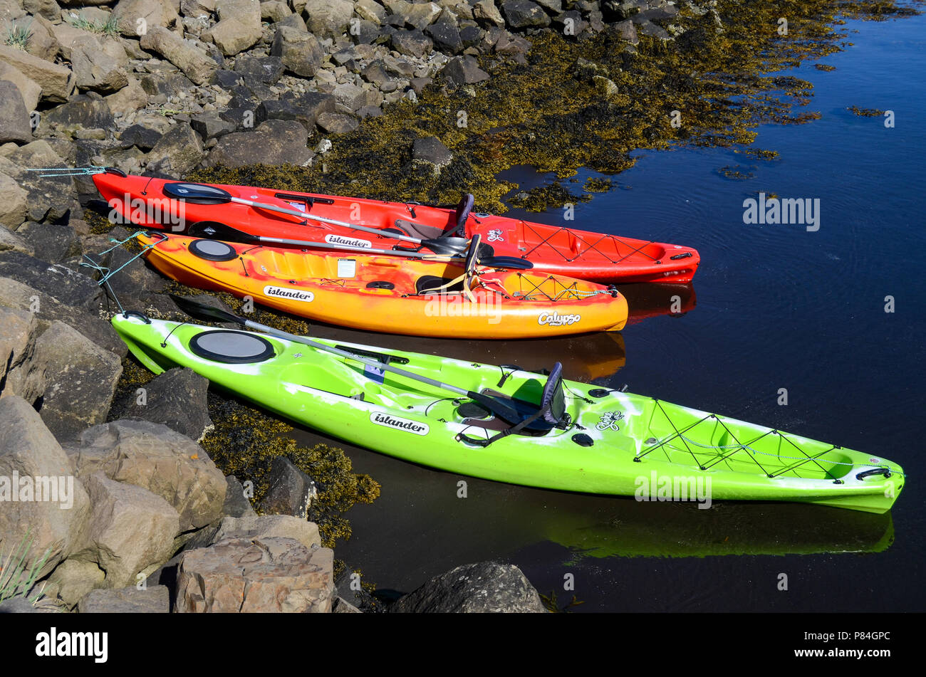 Kayaks en Hrisey, Islande Banque D'Images