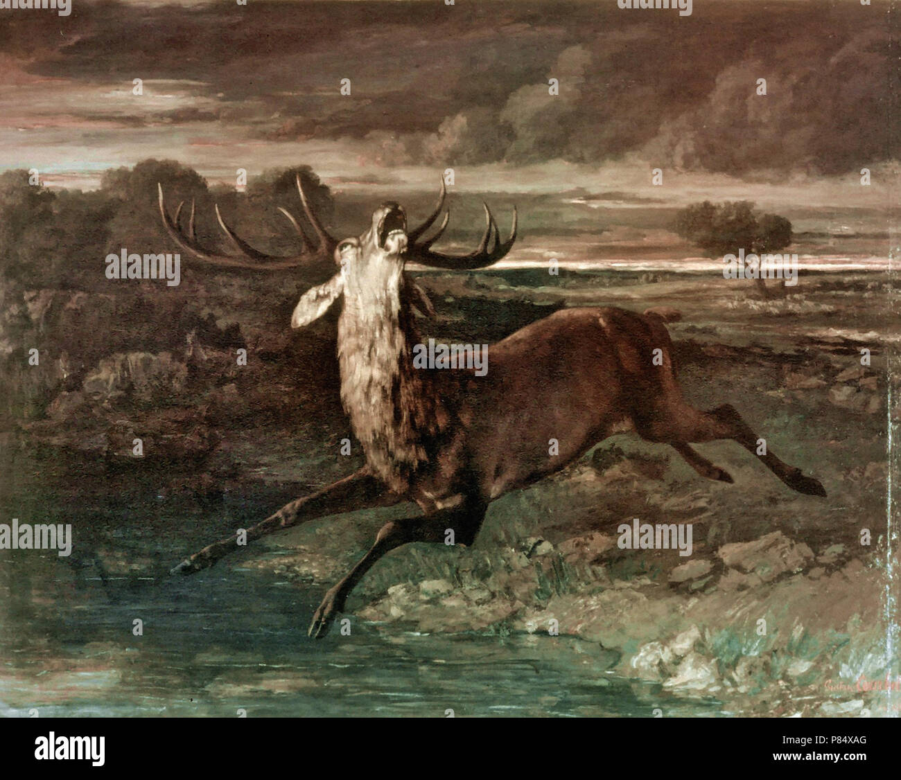 Gustave Courbet - Der Hirsch Am Wasser Banque D'Images