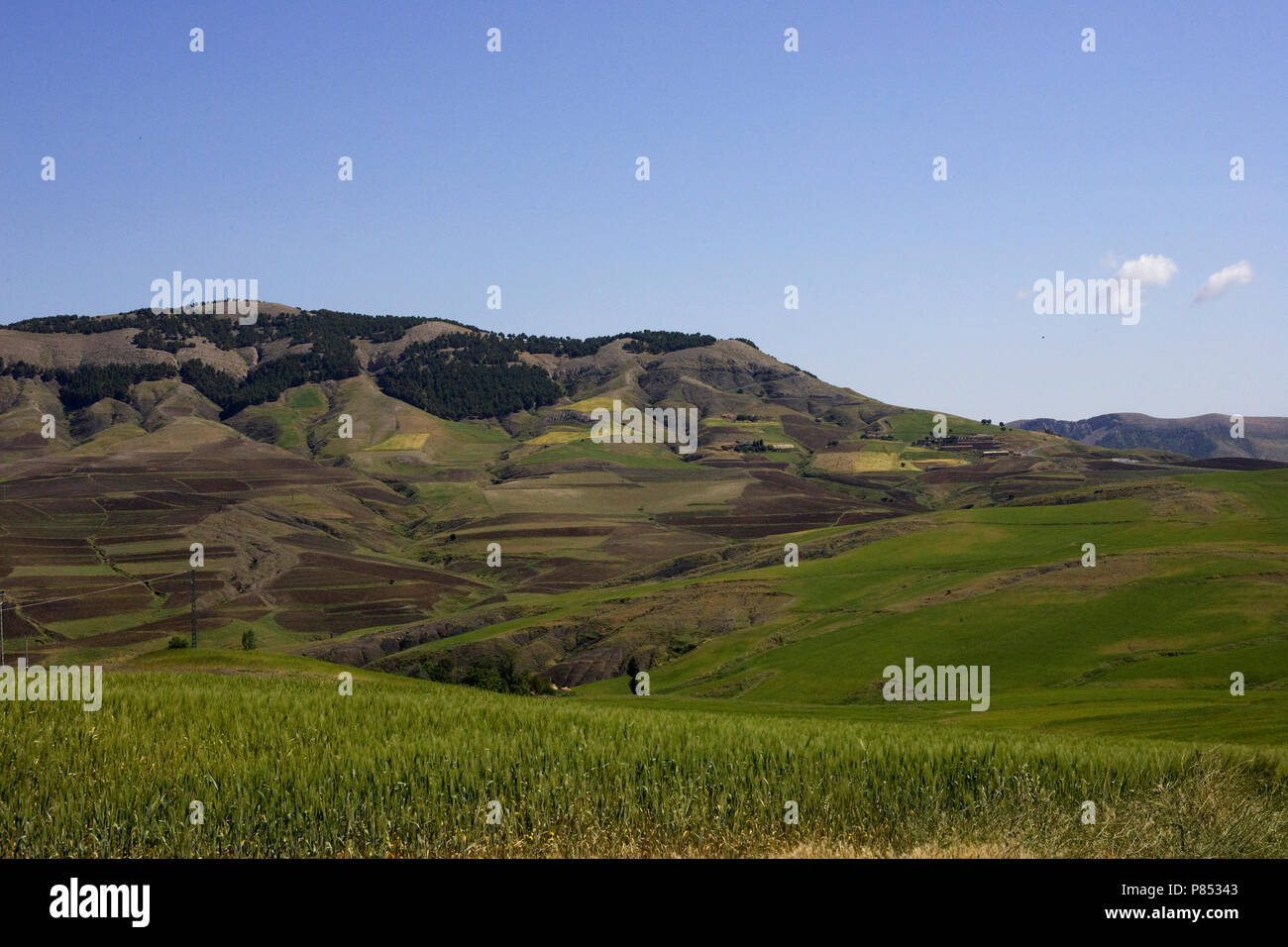 Glooiend landschap, Rolling hills, Petite Kabylie, Algérie, Algerije Banque D'Images