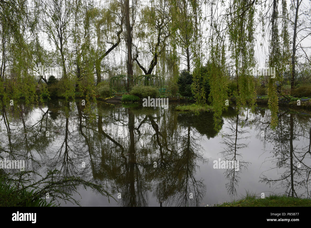 Paysage de la réflexion à Giverny, France. Image de les jardins de Monet. Banque D'Images