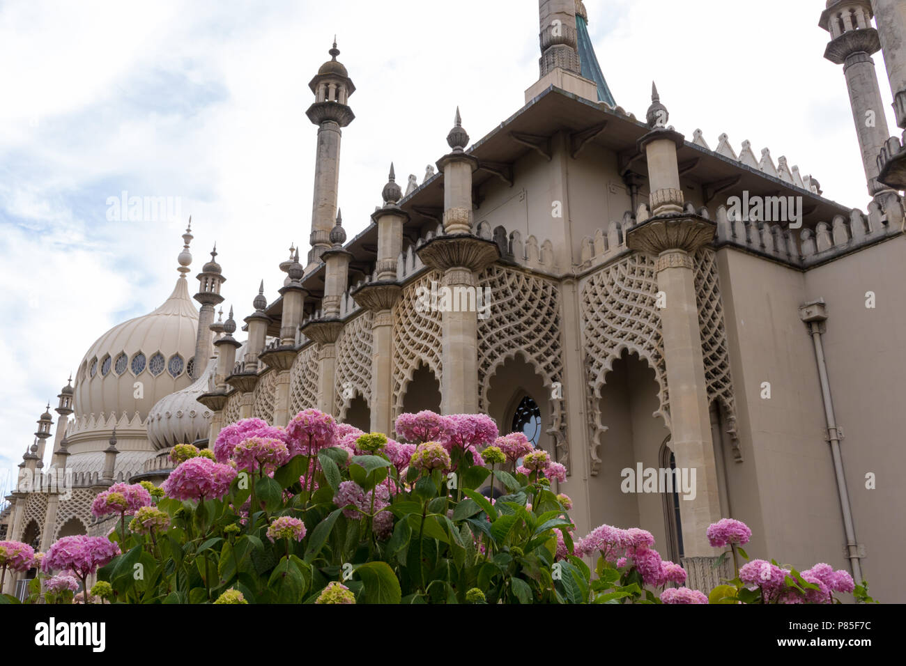 La floraison des hortensias rose en face du Royal Pavilion à Brighton, East Sussex, Angleterre. Bord de l'ancien palais du roi George IV. Banque D'Images