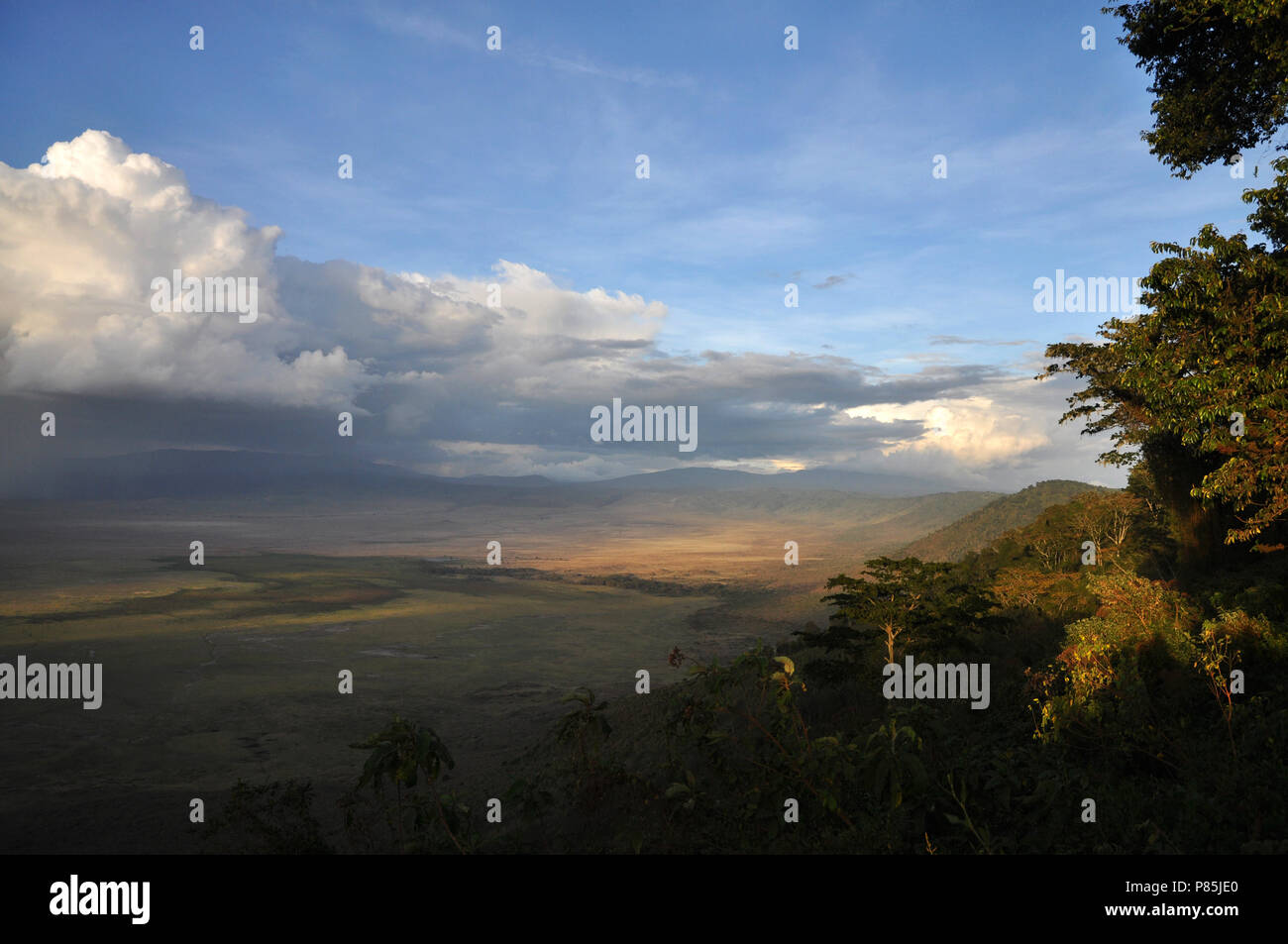 Ngorongoro cratère, le cratère du Ngorongoro (Tanzanie) Banque D'Images