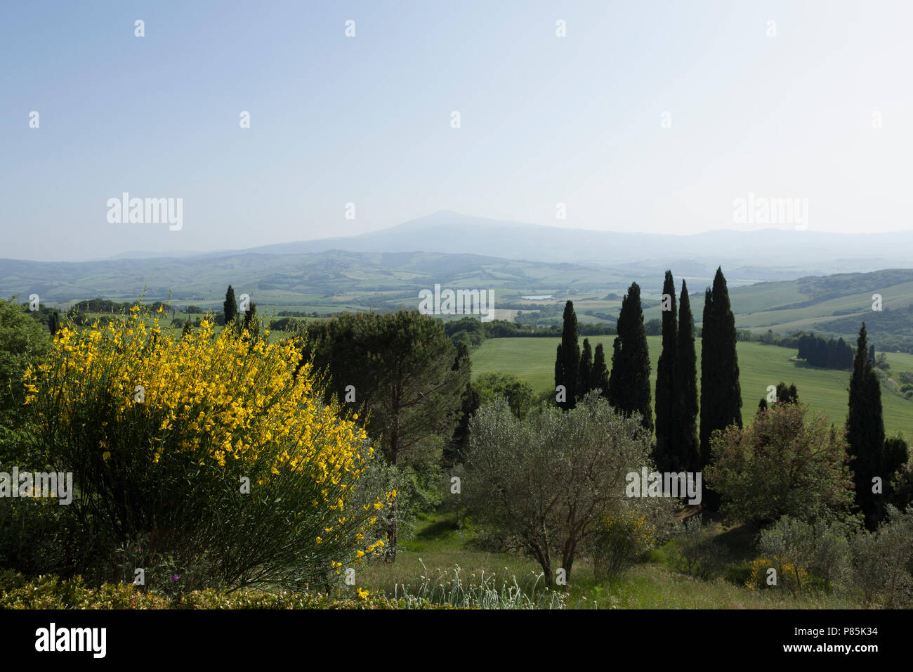 Val d'Orcia, Toscane, Italie Banque D'Images