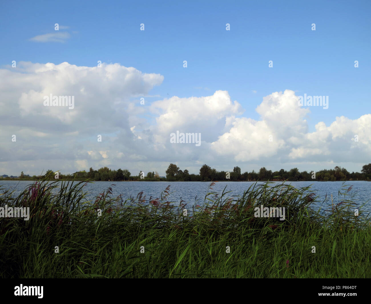 Reeuwijkse plassen, Nederland / Pays-Bas Banque D'Images