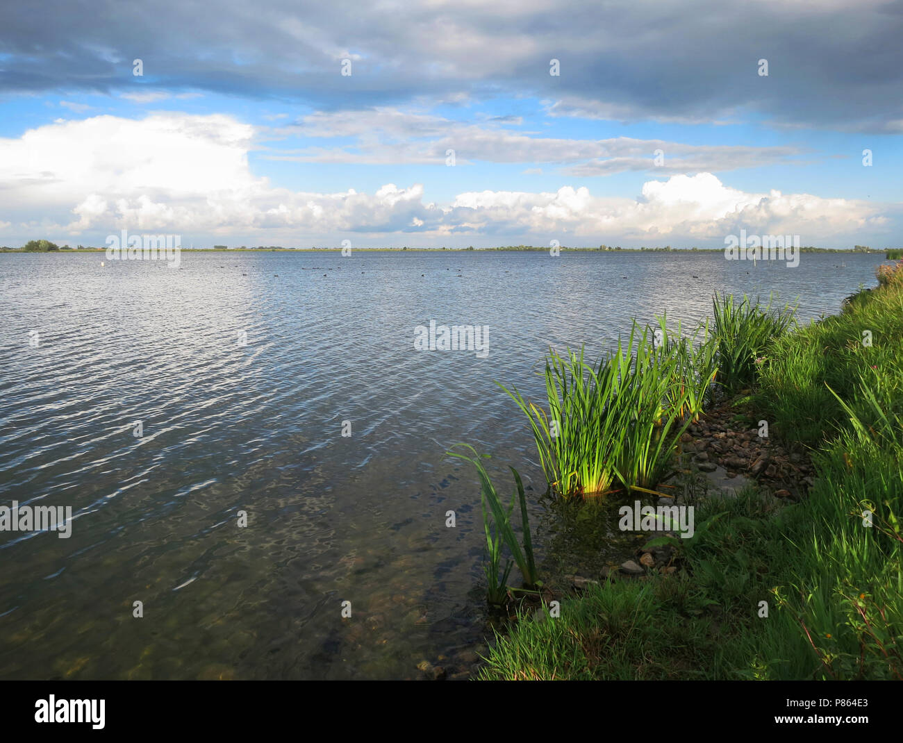 Reeuwijkse plassen, Nederland / Pays-Bas Banque D'Images