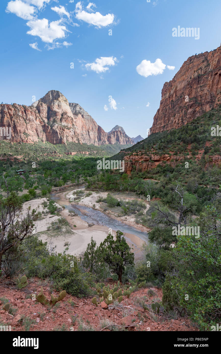 La vallée de Zion National Park Banque D'Images