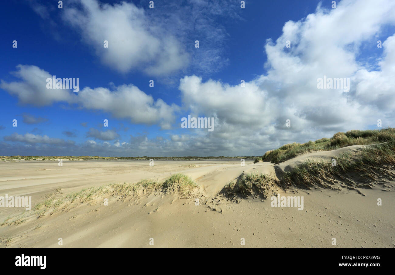 Texel - Hors De Banque D'Images