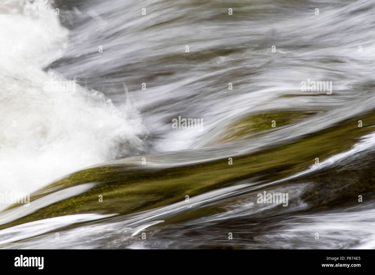 Rivière qui coule au pied de la rivière Catlins, île du Sud, Nouvelle-Zélande. Banque D'Images