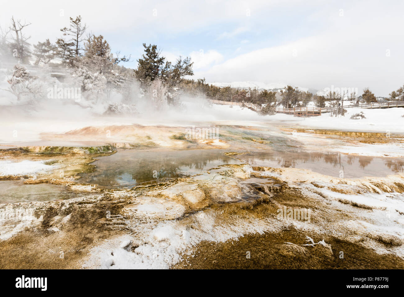 Landschap van Mammoth Hot Springs ; Paysage de Mammoth Hot Springs Banque D'Images