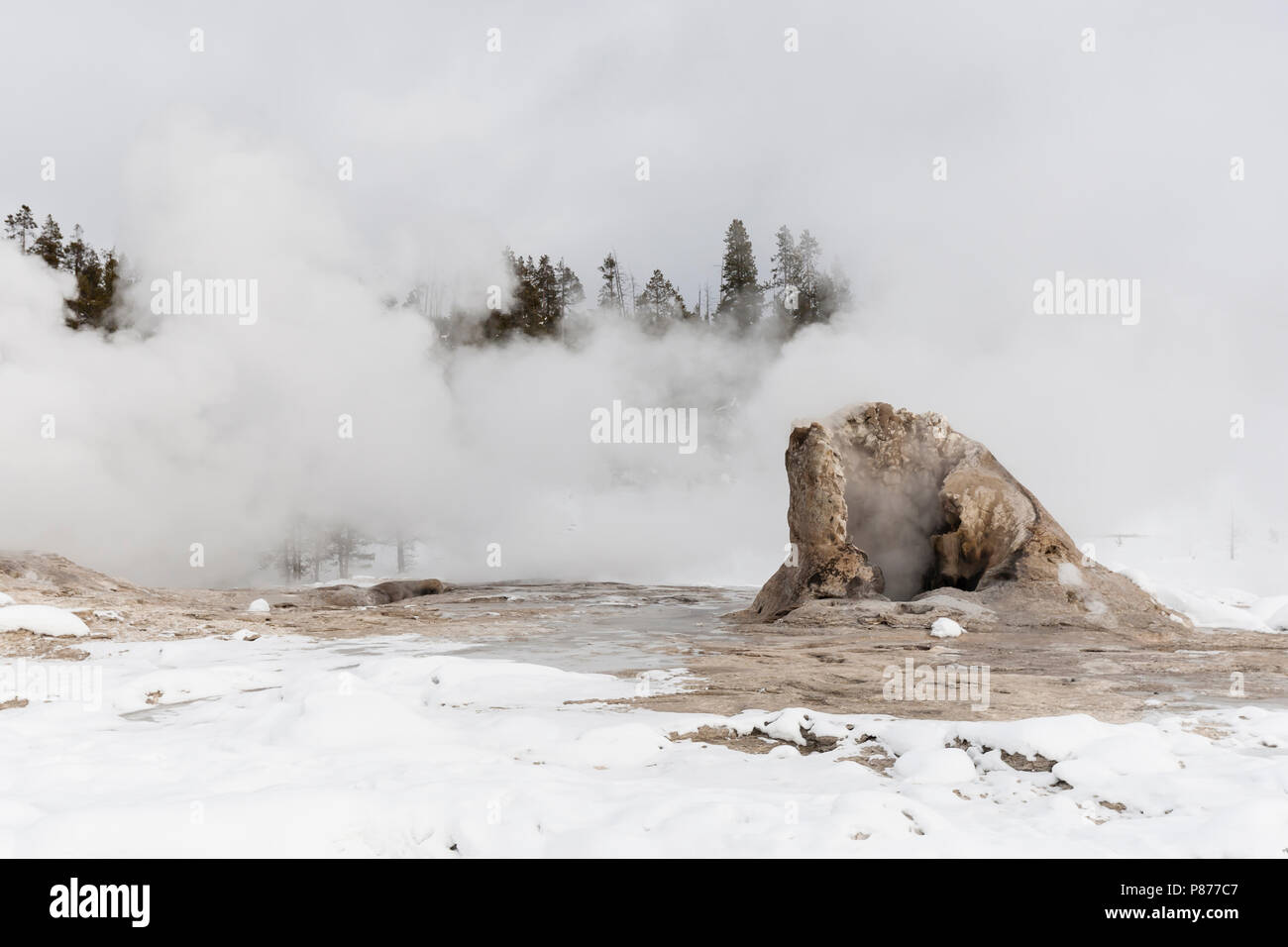 Geyser en éruption couverte de neige au Parc National de Yellowstone Banque D'Images