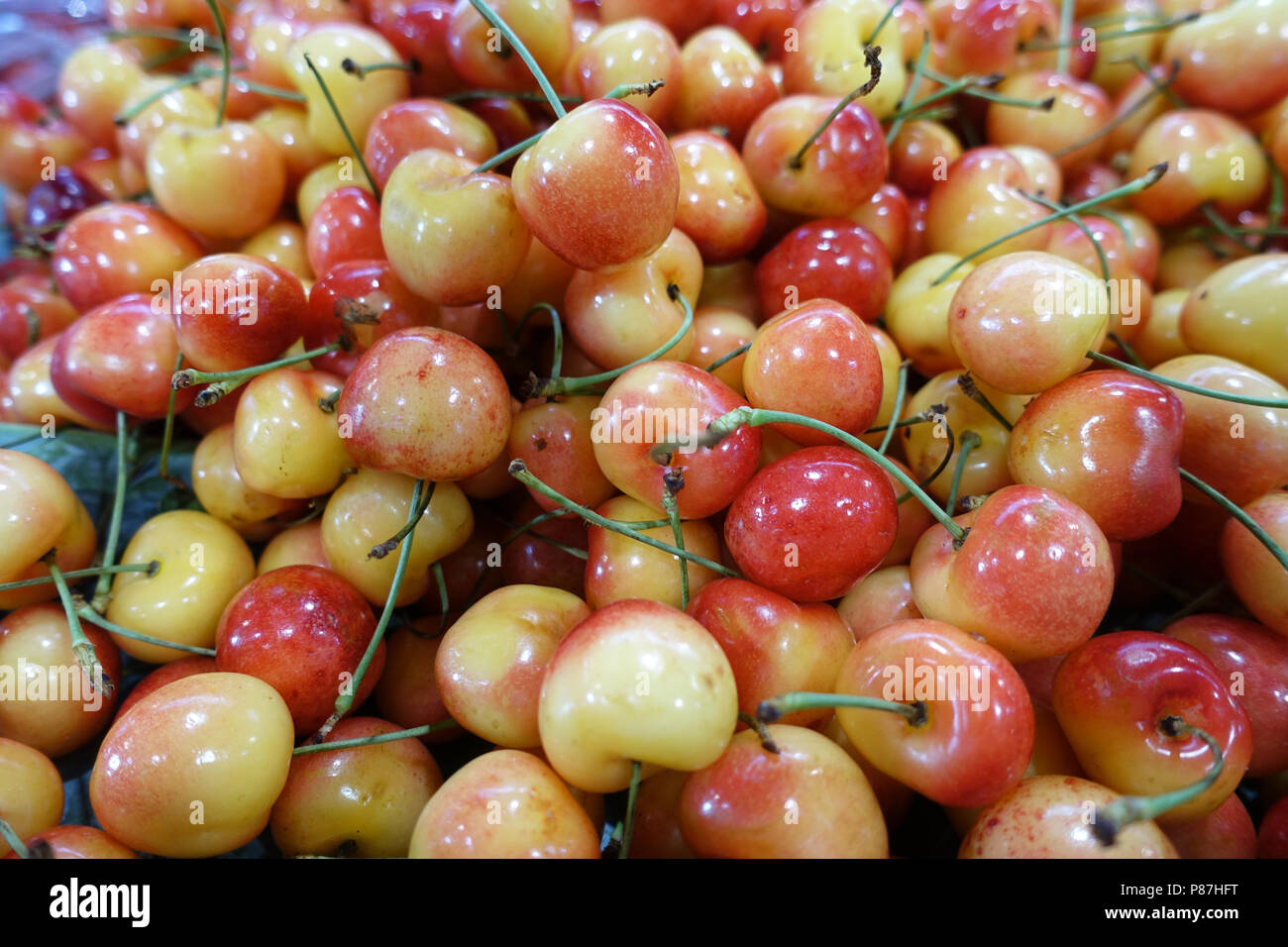 Cerises Blanc frais Banque D'Images