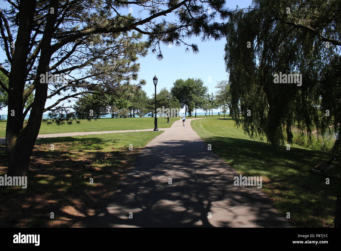 Northwestern University Park sur le lac à Evanston, Illinois sur une belle journée ensoleillée. Banque D'Images