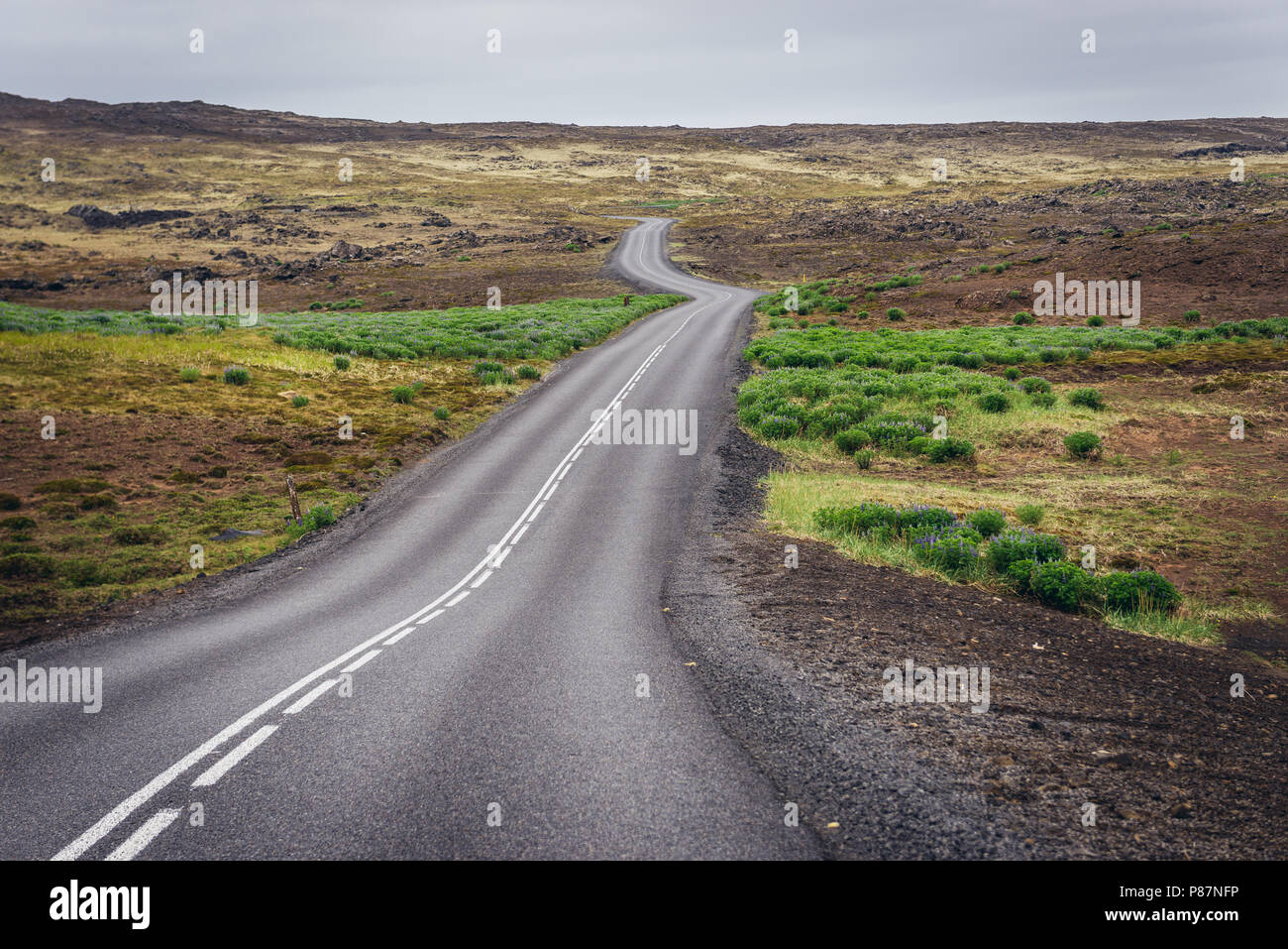 Route de Reykjanes UNESCO Global Geopark domaine dans Reykjanesskagi - péninsule du Sud, Islande Banque D'Images