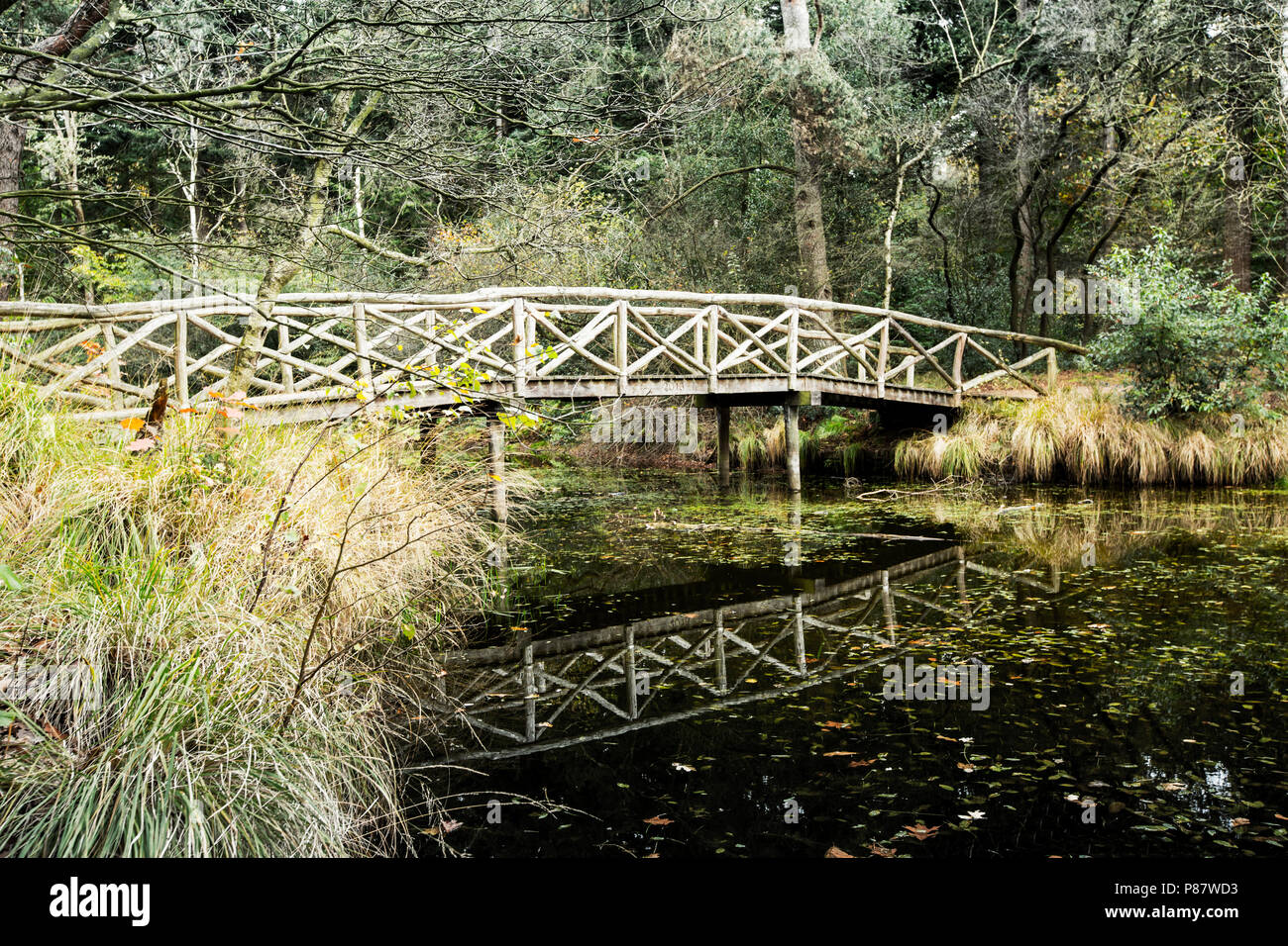 Elfbergen Gaasterland. Brug over de Vijver, Elfbergen Gaasterland. Pont sur l'étang Banque D'Images