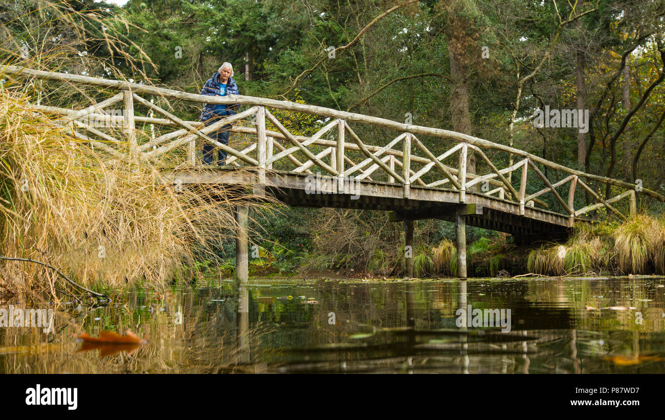 Elfbergen Gaasterland. Brug over de Vijver, Elfbergen Gaasterland. Pont sur l'étang Banque D'Images