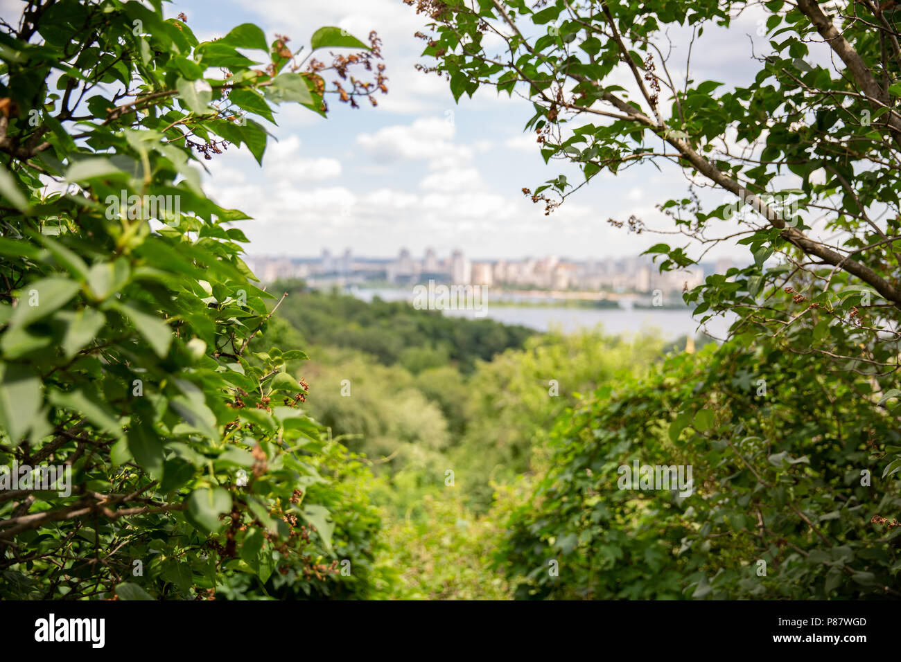 Merveilleuse Nature Par Le Lac Vue Sur Le Lac De La Foret Vacances En Famille Ou L Environnement Propre Vue Sur Le Lac Entre Le Br Photo Stock Alamy