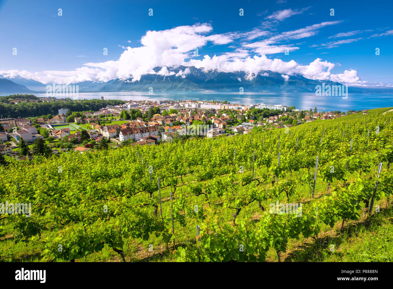 Vue panoramique de la ville de Montreux avec des Alpes suisses, le lac Léman et le vignoble de Lavaux, région, Canton de Vaud, Suisse, Europe. Banque D'Images