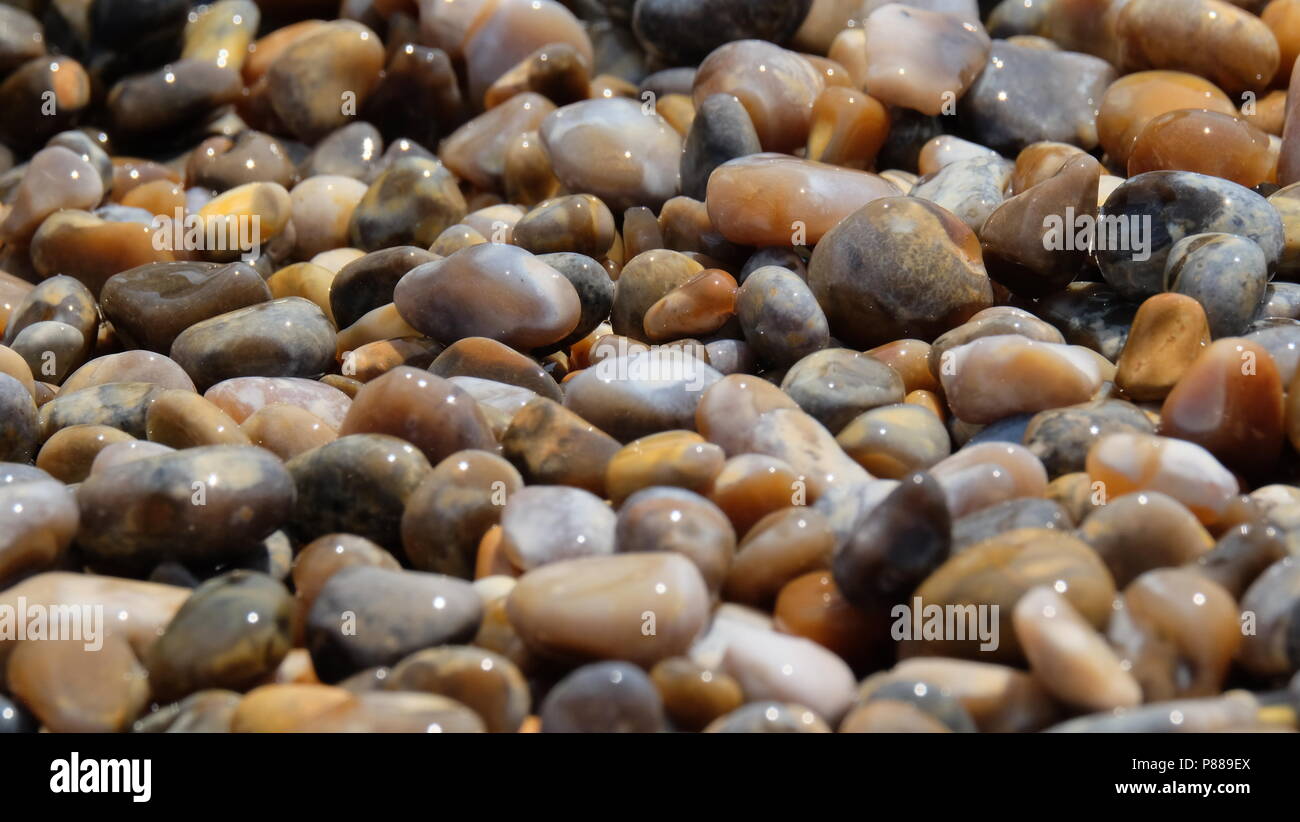 paon Banque D'Images