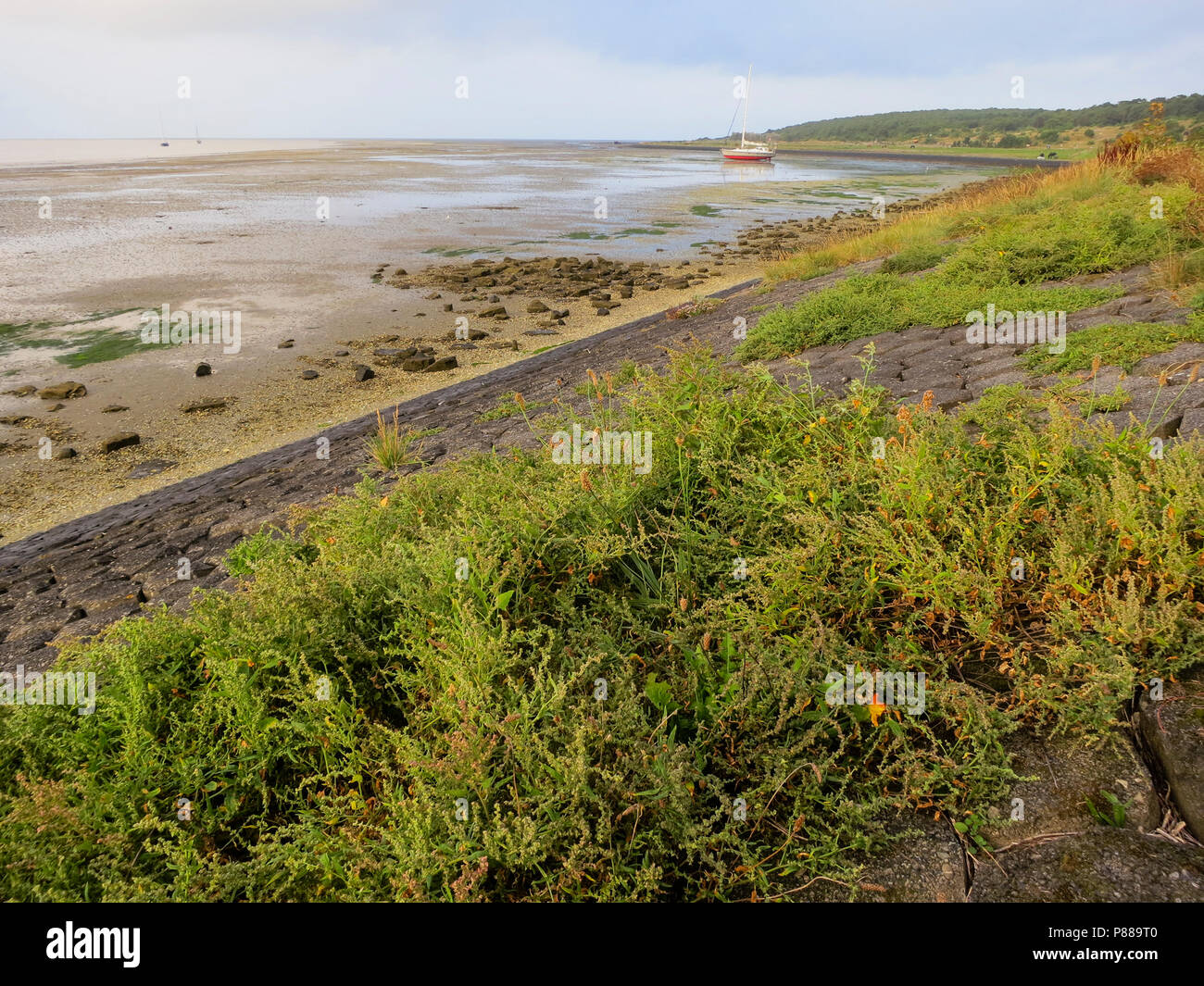 Uitzicht op de Waddenzee drooggevallen vanaf dijk op Vlieland ; voir à la mer des Wadden à sec à partir de la digue à Vlieland Banque D'Images