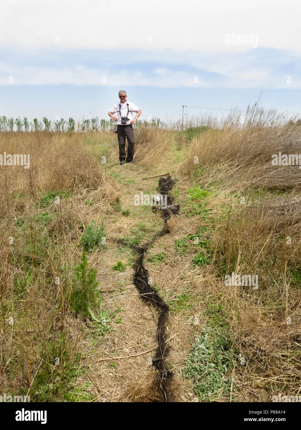 Vogelaar staand bij illegaal mistnet rencontré dode vogels ; observateur debout près de filet japonais illégale avec des oiseaux morts Banque D'Images