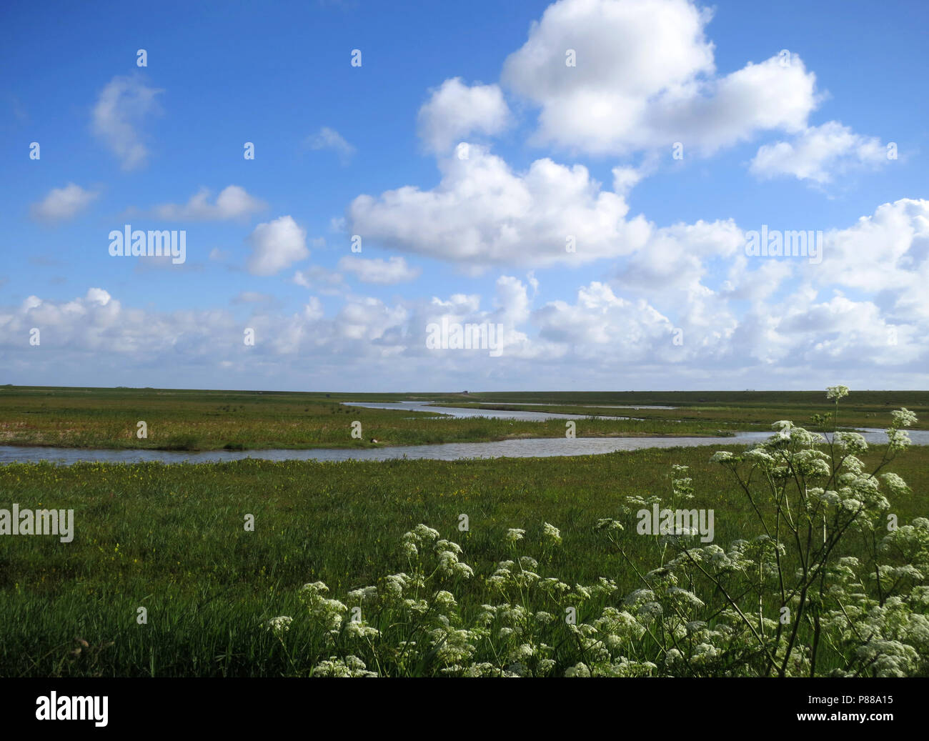 Utopie Landschap op Texel ; Paysage Texel, Pays-Bas Banque D'Images