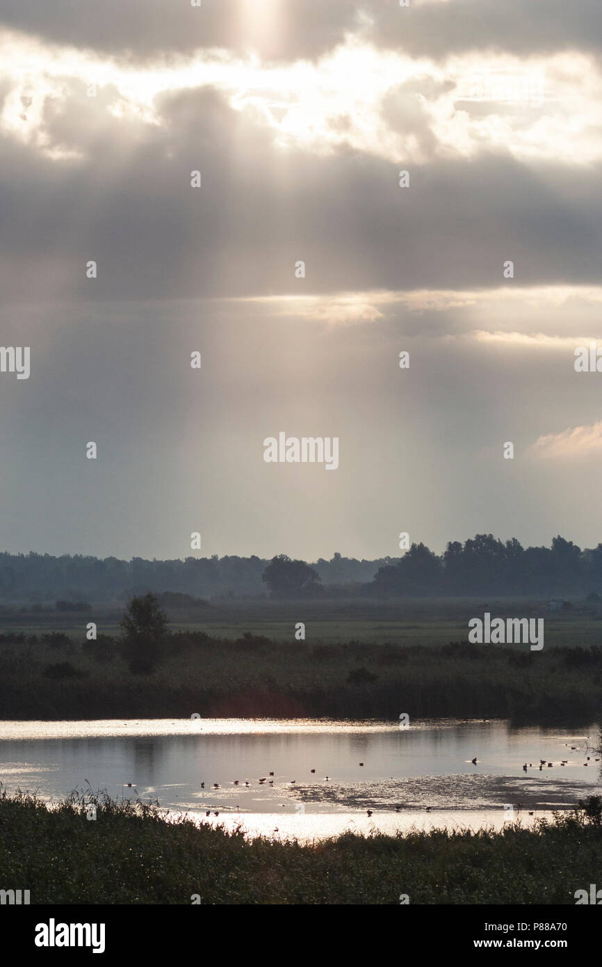 Zon porte breekt boven waterplas ; Sun brisant sur le lac Banque D'Images