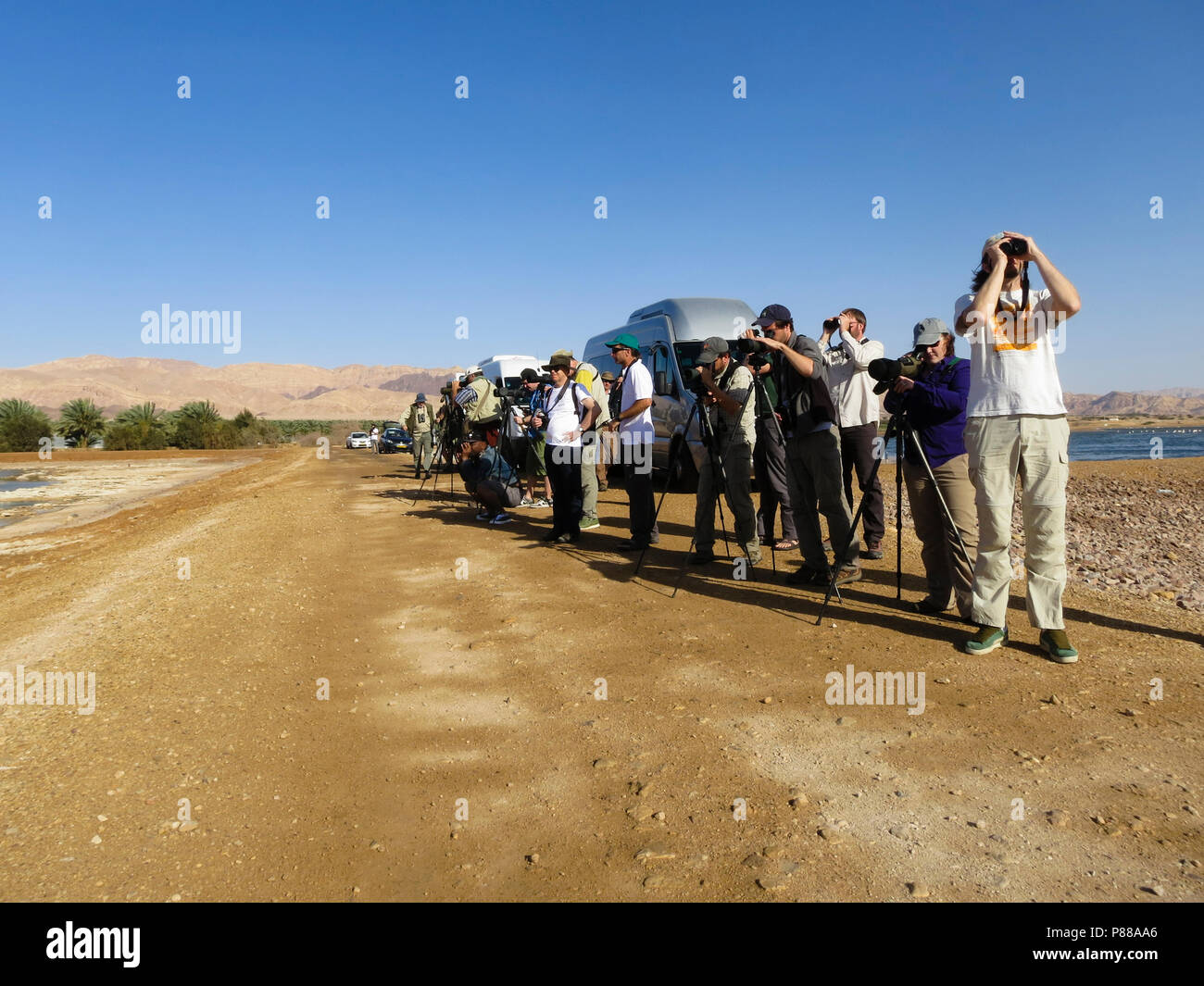 Groep vogelaars rencontré verrekijkers en stethoscopen dans woestijn ; Groupe d'observateurs d'oiseaux avec des jumelles et des stéthoscopes in desert Banque D'Images