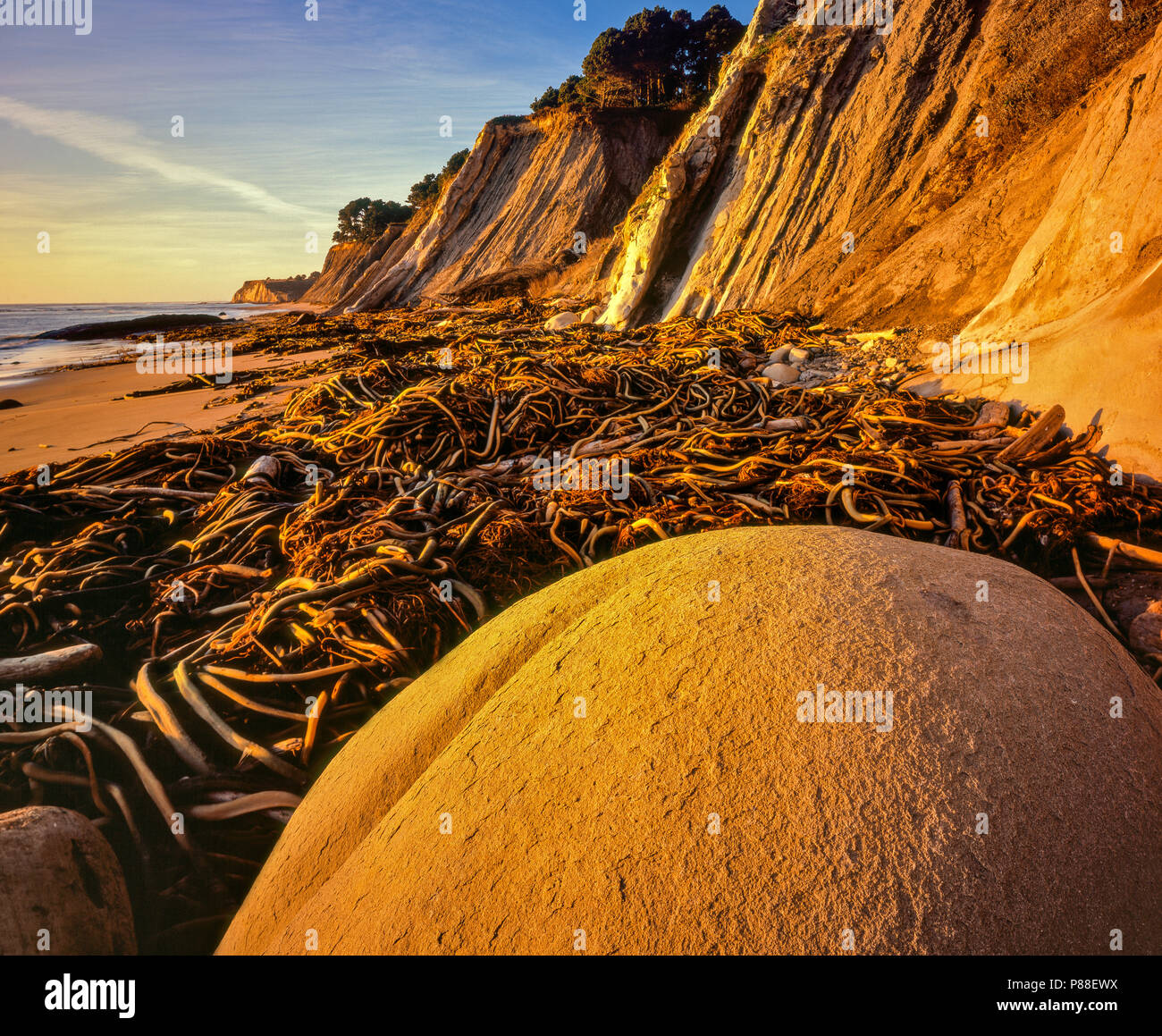 Bowling Ball Beach, plage d'état de la Goélette Gulch, littoral, Mendocino County, Californie Banque D'Images