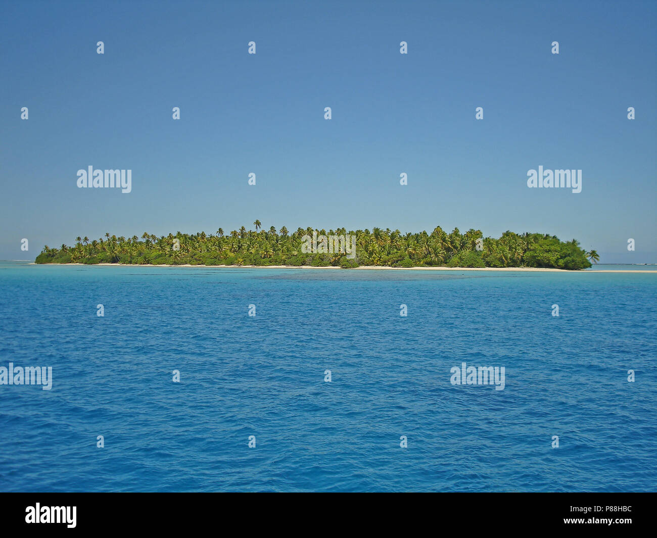 Dans l'atoll de Tahanea partie de l'archipel des Tuamotu en Polynésie française. Banque D'Images