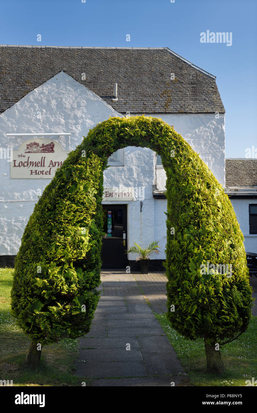 Les buissons de cèdre dans une formation d'archway topiaire Lochnell Arms Hotel de North Connel Scotland UK Banque D'Images