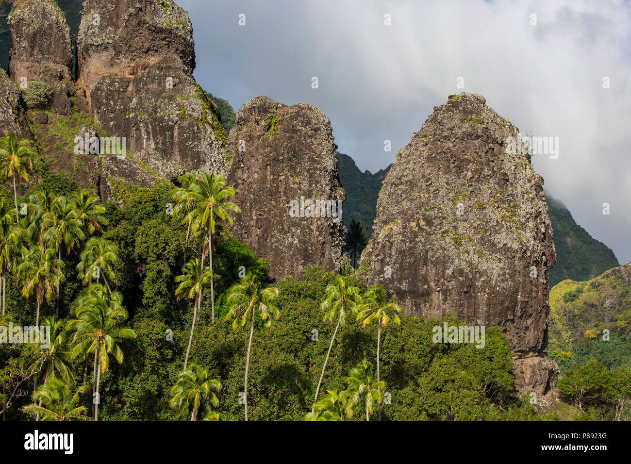 La roche volcanique de la campagne de Fatu Hiva, Îles Marquises Banque D'Images