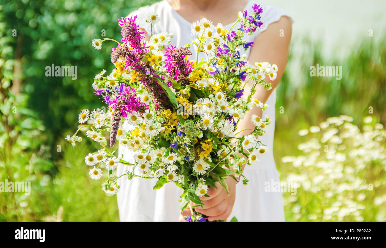 Enfant avec un bouquet de fleurs sauvages. Focus sélectif. nature Photo  Stock - Alamy