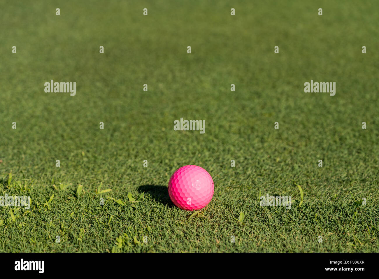 Balle de golf rose sur le bord d'un green Banque D'Images