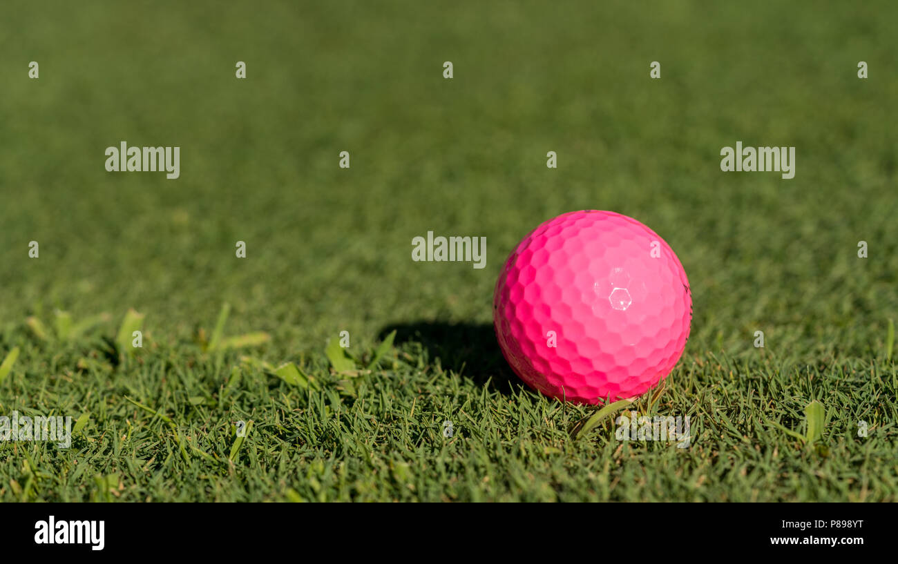 Balle de golf rose sur le bord d'un green Banque D'Images