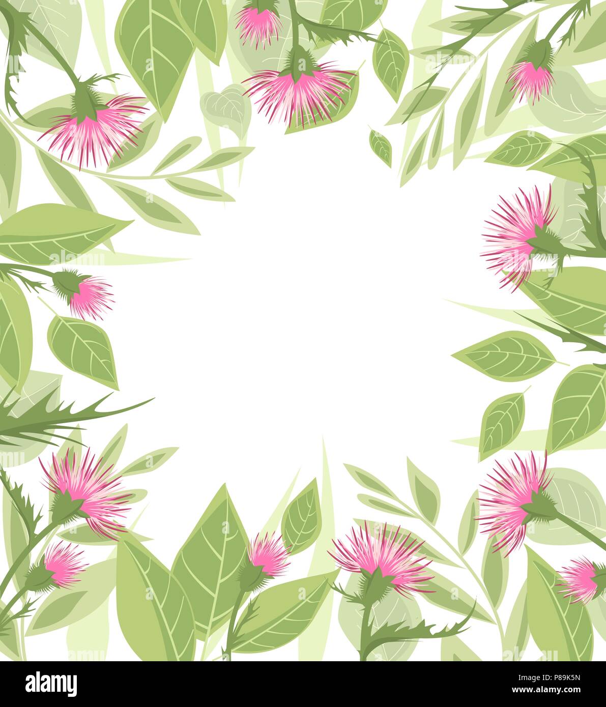 Chardon d'illustration vectorielle avec des feuilles vertes sur fond blanc Illustration de Vecteur