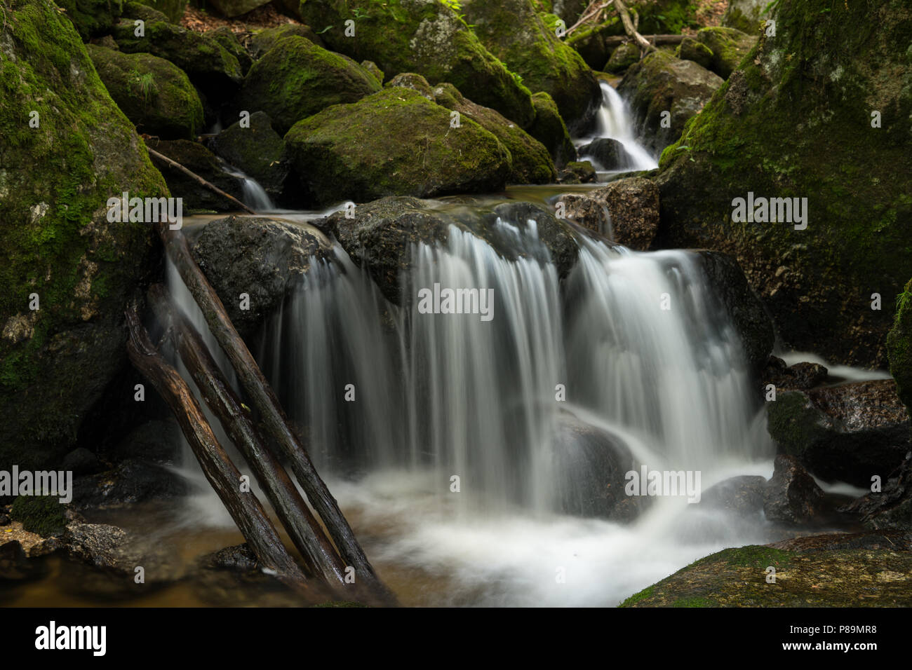 Cascade, cascade entre de gros rochers en ravin (Ysperklamm Waldviertel, Autriche) Banque D'Images