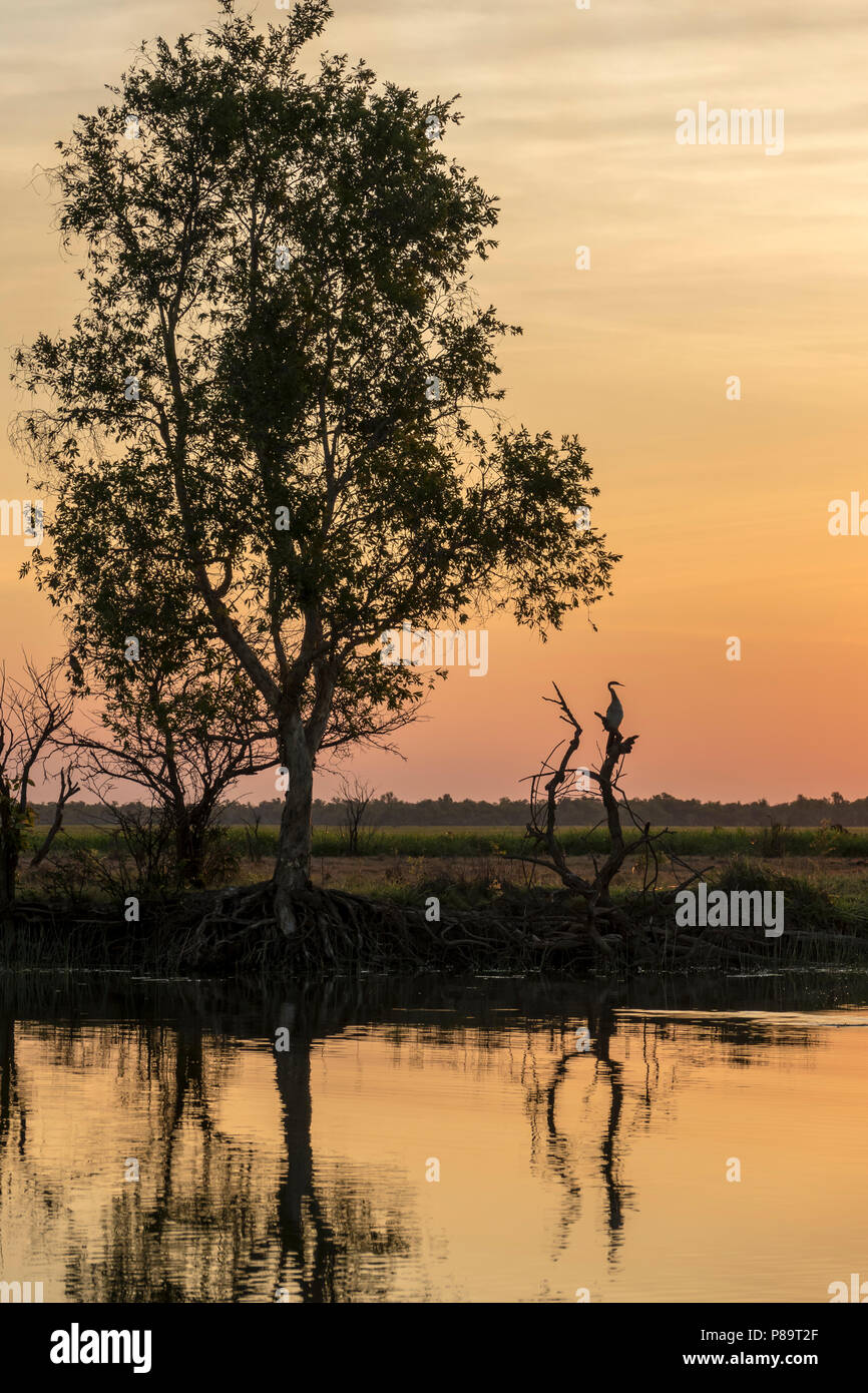 Coucher du soleil iconique, Corroboree Billabong, Mary River Wetlands, Territoire du Nord Banque D'Images