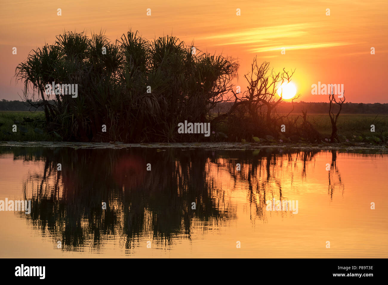 Coucher du soleil iconique, Corroboree Billabong, Mary River Wetlands, Territoire du Nord Banque D'Images