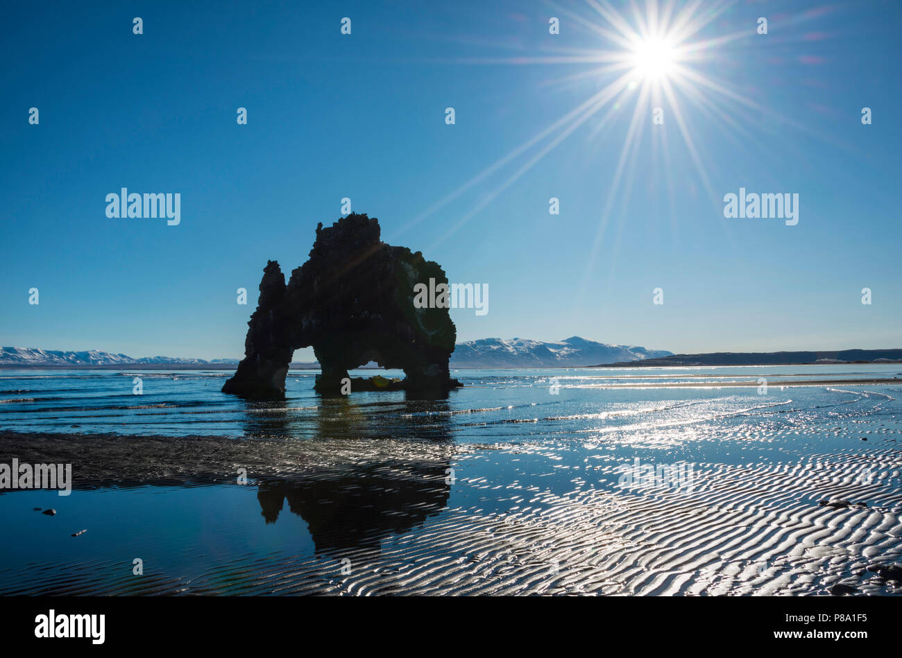 Hvitserkur, Elephant Rock réfléchi sur la plage de lave, de roches basaltiques, sous la forme d'un éléphant à Sunshine, boutiques vestra Banque D'Images