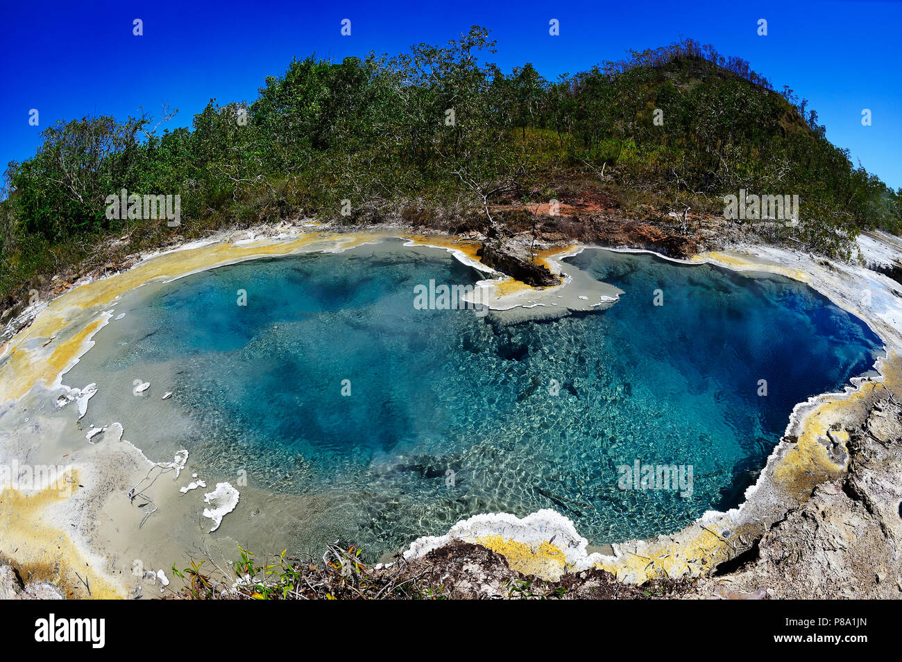 Dei dei Hot Springs, l'île de Ferguson, Milne Bay, à Alotau, Papouasie Nouvelle Guinée, l'Océanie Banque D'Images