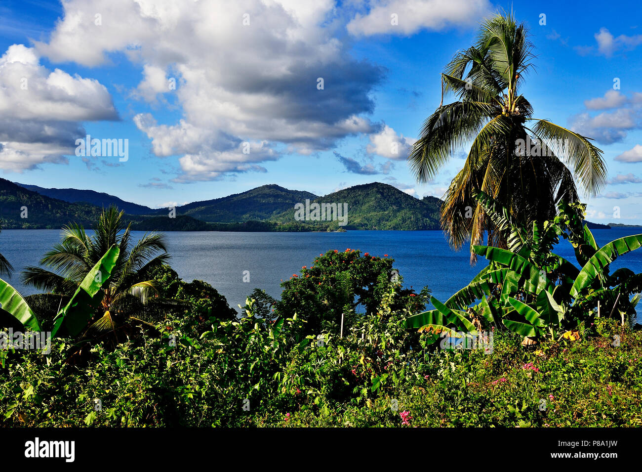 L'île de Kwato, Milne Bay, à Alotau, Papouasie Nouvelle Guinée, l'Océanie Banque D'Images